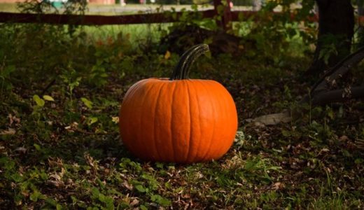 かぼちゃ – 「サプリメント」に頼らない野菜戦略（２）